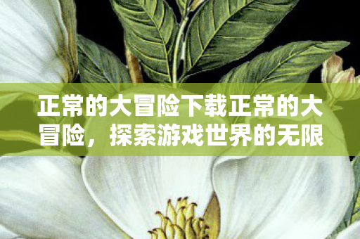 正常的大冒险下载正常的大冒险图片