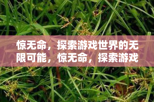 探索游戏世界的无限可能图片
