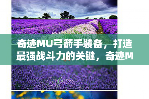 打造最强战斗力的关键图片