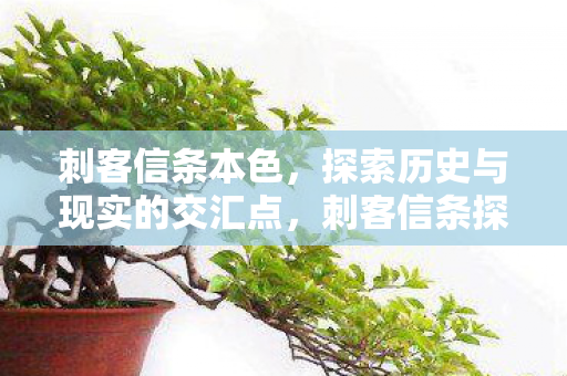刺客信条探索历史与现实的交汇点图片