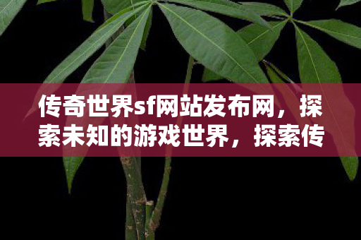 探索传奇世界sf网站发布网图片