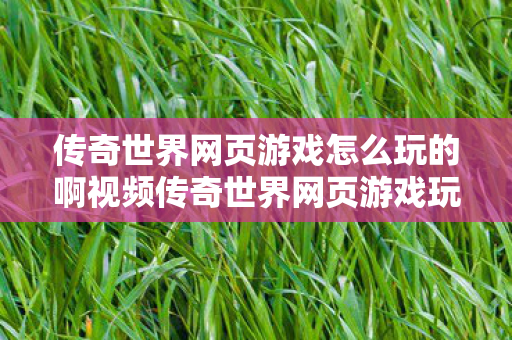 传奇世界网页游戏怎么玩的啊视频传奇世界网页游戏玩法指南图片