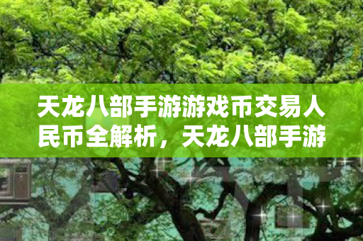 天龙八部手游游戏币与人民币交易全解析图片