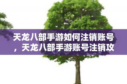 天龙八部手游如何注销账号图片