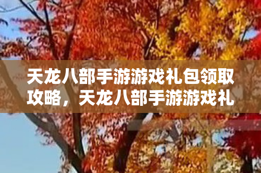 天龙八部手游游戏礼包领取全攻略图片