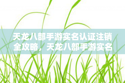 天龙八部手游实名认证注销全攻略图片