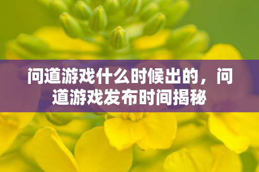 问道游戏什么时候出的，问道游戏发布时间揭秘