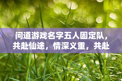 问道游戏名字五人固定队，共赴仙途，情深义重，共赴仙途，五人固定队情深义重问道游戏之旅