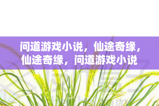 问道游戏小说,仙途奇缘,仙途奇缘,问道游戏小说 问道游戏小说,仙途奇缘,仙途奇缘,问道游戏小说