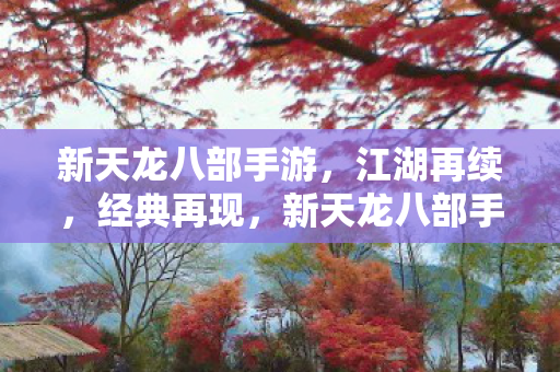 新天龙八部手游图片