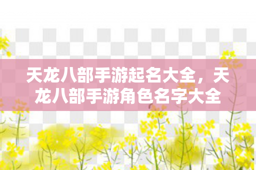 天龙八部手游角色名字大全图片