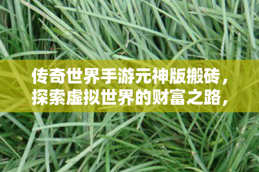 传奇世界手游元神版搬砖之旅图片