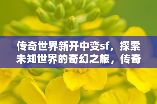 探索未知世界的奇幻之旅图片