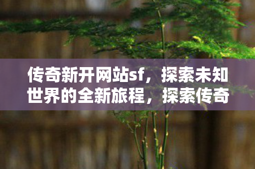 探索未知世界的全新旅程图片