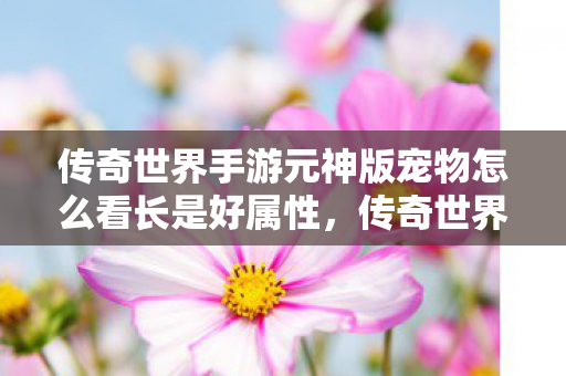 传奇世界手游元神版宠物怎么看长是好属性图片