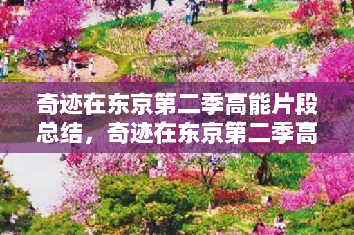奇迹在东京第二季高能片段总结图片