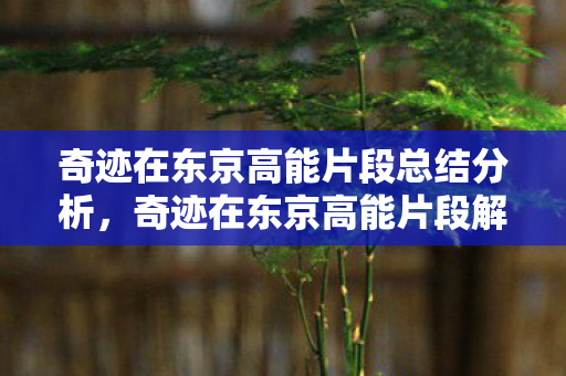 奇迹在东京高能片段总结分析图片
