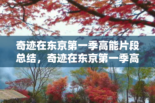 奇迹在东京第一季高能片段总结图片