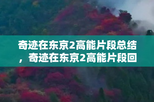 奇迹在东京2高能片段总结图片