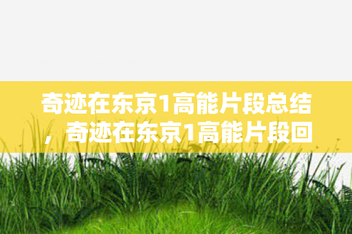 奇迹在东京1高能片段总结图片