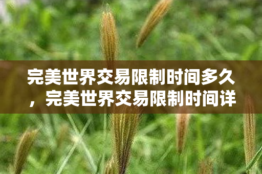 完美世界交易限制时间多久图片