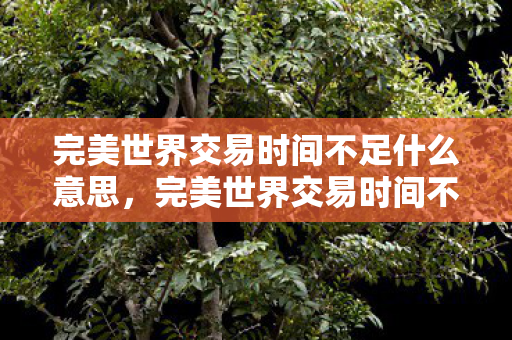 完美世界交易时间不足是什么意思图片