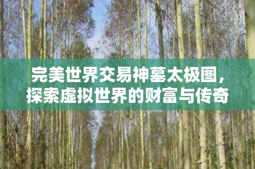 神墓太极图探索虚拟世界的财富传奇图片