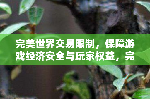 保障游戏经济安全与玩家权益图片