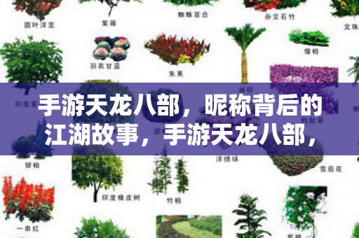 昵称背后的江湖故事揭秘图片