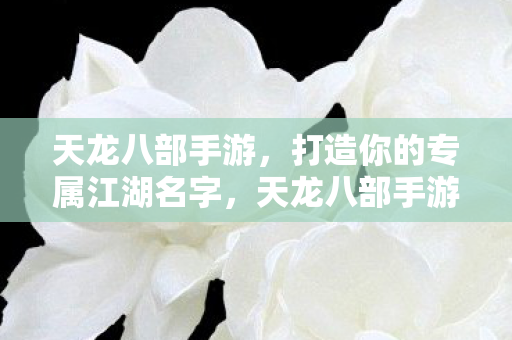 天龙八部手游打造专属江湖名字图片