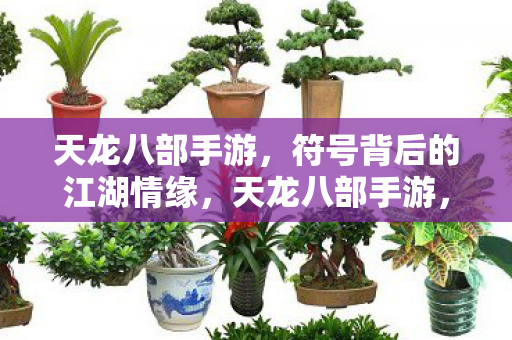符号背后的江湖情缘图片