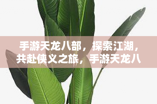 手游天龙八部图片