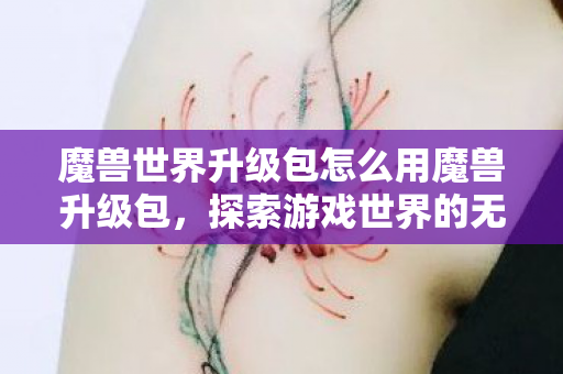 魔兽世界升级包怎么用魔兽升级包图片