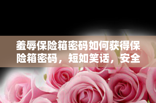 保险箱密码可轻易获取 安全性令人担忧图片