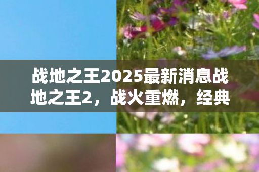 战地之王2025最新消息战地之王2图片