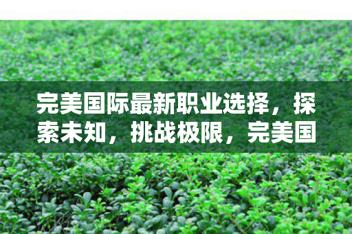 最新职业选择等你来挑战图片