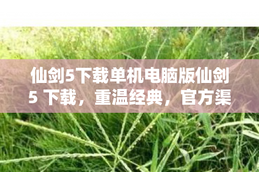 仙剑5下载单机电脑版仙剑5 下载图片
