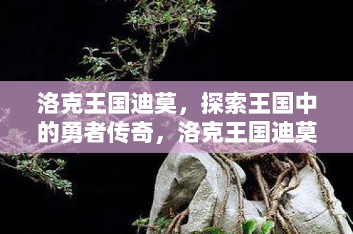 探索王国中的勇者传奇图片