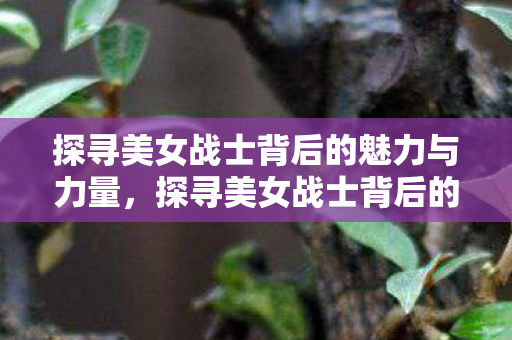 探寻美女战士背后的魅力与力量图片