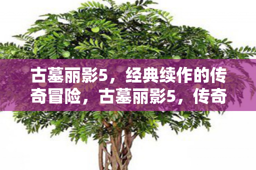 经典续作的传奇冒险图片