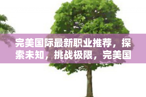 完美国际最新职业推荐图片
