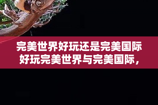 完美世界好玩还是完美国际好玩完美世界与完美国际图片