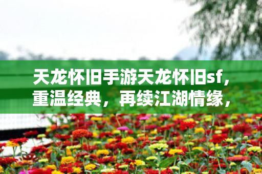 天龙怀旧手游天龙怀旧sf图片
