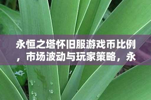 永恒之塔怀旧服游戏币市场波动与玩家策略分析图片