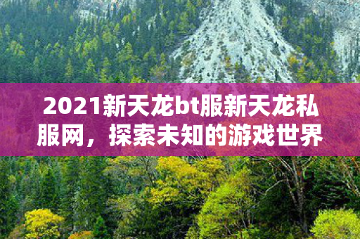 2021新天龙bt服新天龙私服网图片