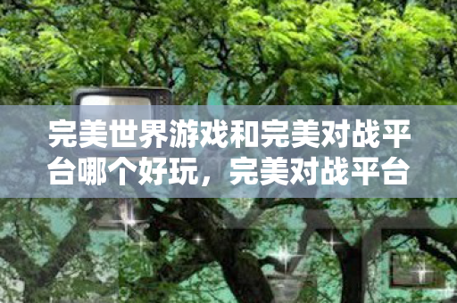 完美对战平台与完美世界游戏哪个更好玩图片