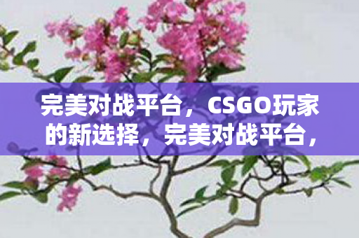 CSGO玩家的新选择图片