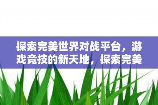 探索完美世界对战平台图片