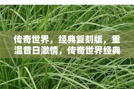 传奇世界经典复刻版图片