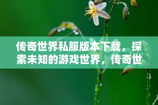 传奇世界私服版本下载图片